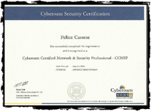 NETWORK E SECURITY PROFESSIONAL-p1